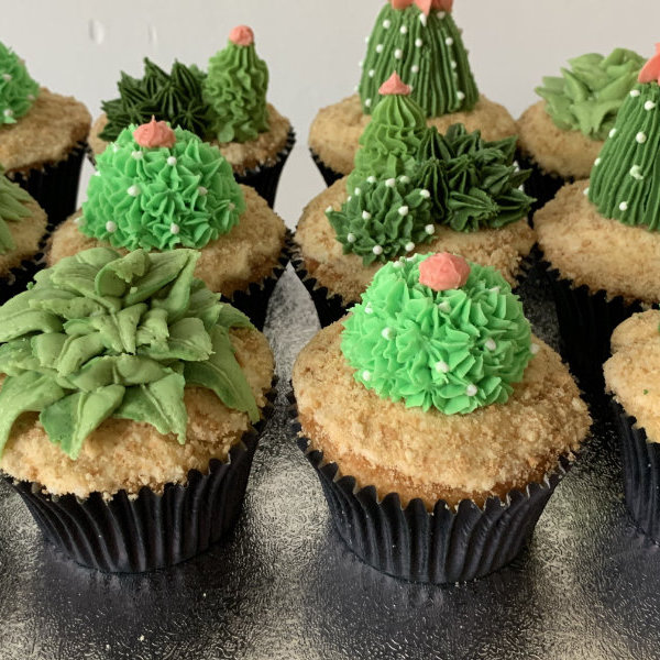 3d cactus cupcakes oxford